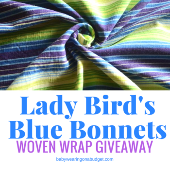 smitten-with-wovens-giveaway-ladybird
